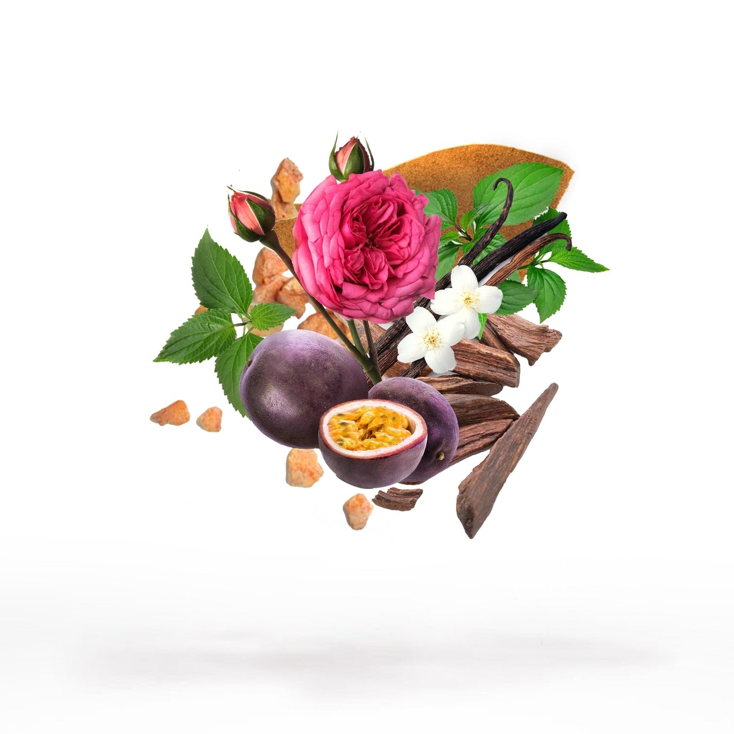 SILLAGE NOCTURNE - Sillage Fragrance