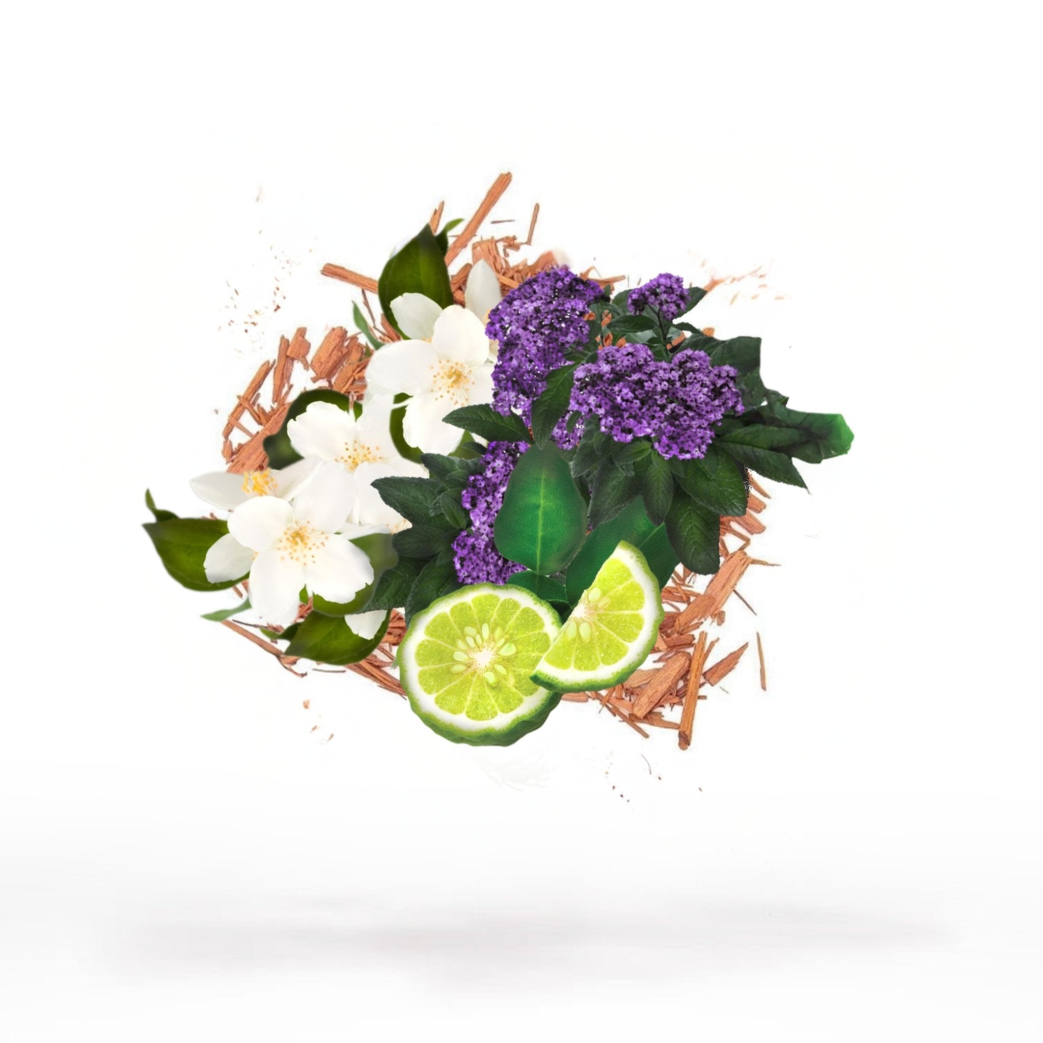 SILLAGE APERTURE - Sillage Fragrance