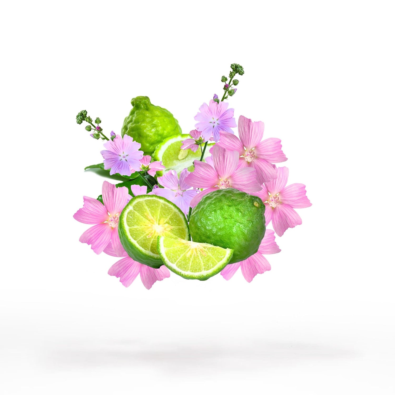 SILLAGE OPUS - Sillage Fragrance